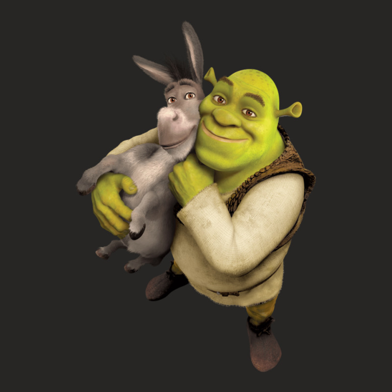 Shrek And Donkey Ladies Fitted T-Shirt by JimmyChandler | Artistshot