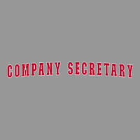 Company Secretary T Shirt Women's V-neck T-shirt | Artistshot