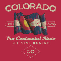 Colorado 1876 Champion Hoodie | Artistshot