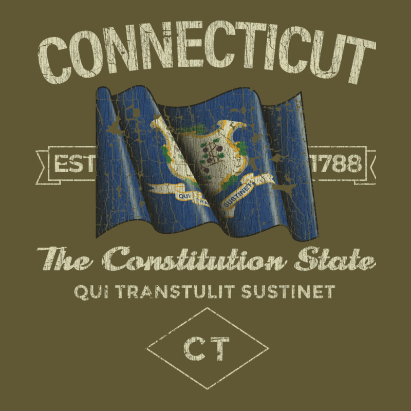 Connecticut 1788 Vintage Short | Artistshot