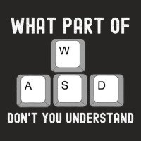 What Part Of Dont You Understand Wasd 1 Ladies Fitted T-shirt | Artistshot