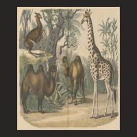 Vintage Art Of Ancient Animals Giraffe Brown Camels Retro Encyclopedia Ladies Fitted T-shirt | Artistshot