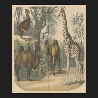 Vintage Art Of Ancient Animals Giraffe Brown Camels Retro Encyclopedia Ladies Polo Shirt | Artistshot