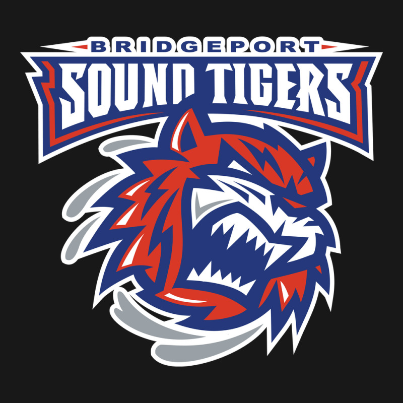 The-bridgeport-sound-tigers-sun Flannel Shirt | Artistshot