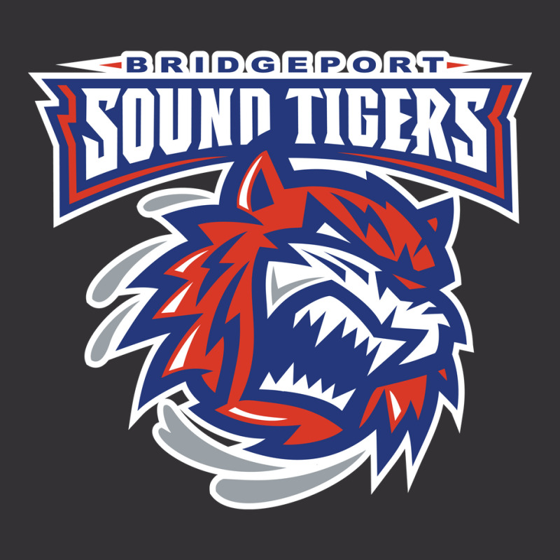 The-bridgeport-sound-tigers-sun Vintage Hoodie | Artistshot