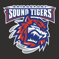 The-bridgeport-sound-tigers-sun Champion Hoodie | Artistshot