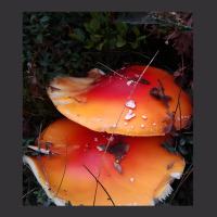 Artistshot Trending Amanita Muscaria Amanita Amanita Mushroom Magic Mu Vintage Short | Artistshot