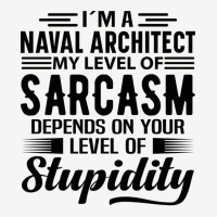 Im A Naval Architect Gift Ladies Polo Shirt | Artistshot