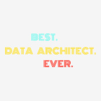 Best Data Architect Ever With Vintage Retro Font Adjustable Cap | Artistshot