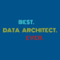 Best Data Architect Ever With Vintage Retro Font Classic T-shirt | Artistshot