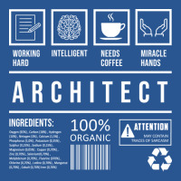 Architect Humor Architecture Saying Job Gift T-shirt | Artistshot