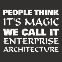 People Think Its Magic Enterprise Architecture Champion Hoodie | Artistshot