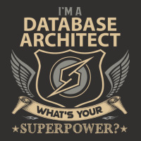 Database Architect T  Superpower Gift Item Tee Champion Hoodie | Artistshot