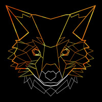 Fox Polygon Animal Foxes Gift T Shirt Graphic T-shirt | Artistshot