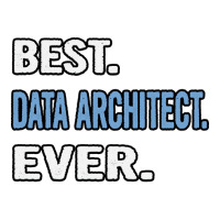 Best Data Architect Ever Birthday Gift Idea Zipper Hoodie | Artistshot