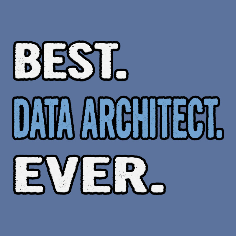 Best Data Architect Ever Birthday Gift Idea Lightweight Hoodie | Artistshot