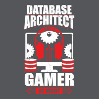 Data Architecture Database Architect Gamer Gift Vintage Ladies Fitted T-shirt | Artistshot