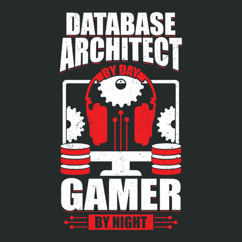 Data Architecture Database Architect Gamer Gift Vintage Women's Triblend Scoop T-shirt by xatseveitasz | Artistshot