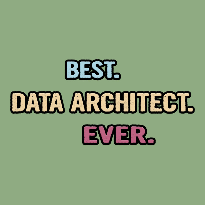 Best Data Architect Ever Nice Gift Idea Graphic T-shirt | Artistshot