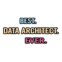 Best Data Architect Ever Nice Gift Idea Men's T-shirt Pajama Set | Artistshot