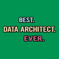 Best Data Architect Ever Nice Gift Idea Classic T-shirt | Artistshot