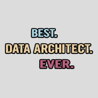 Best Data Architect Ever Nice Gift Idea Men's Polo Shirt | Artistshot