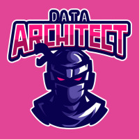 Ninja Data Architect Girl T-shirt | Artistshot