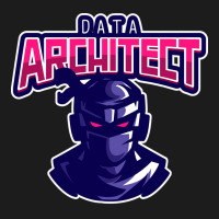 Ninja Data Architect Girl Hoodie & Jogger Set | Artistshot