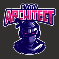 Ninja Data Architect Girl Champion Hoodie | Artistshot