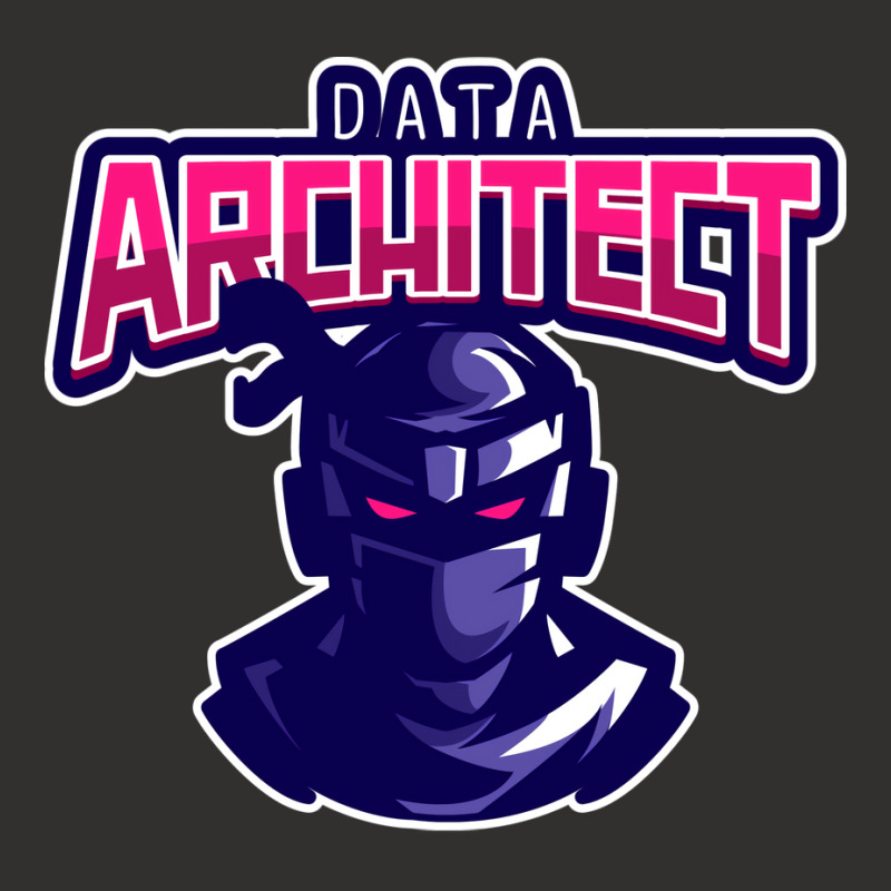 Ninja Data Architect Girl Champion Hoodie | Artistshot