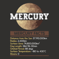 Mercury Facts Mercury Planet Space Lover Champion Hoodie | Artistshot