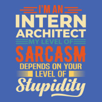 Im An Intern Architect Cute Zipper Hoodie | Artistshot