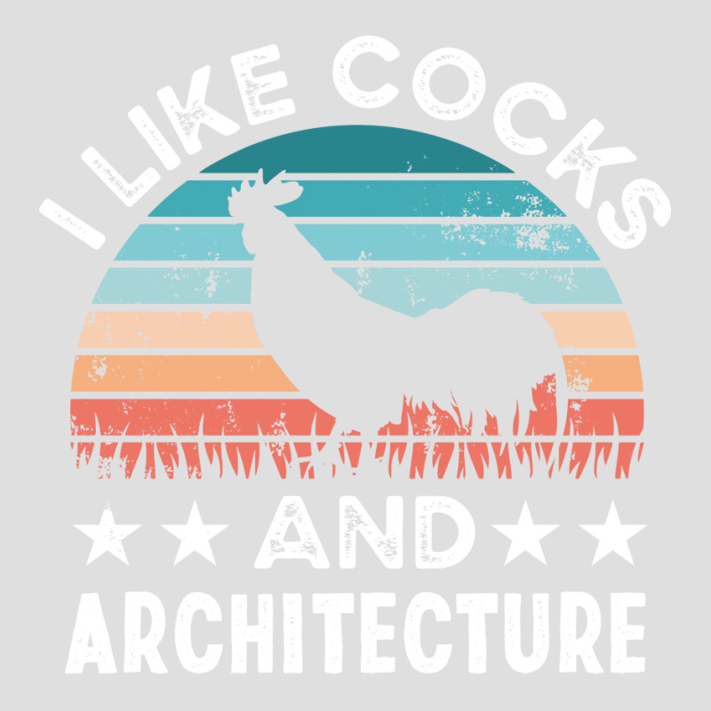 I Like Cocks And Architecture Funny Chicken Gift Travel V-neck Tee | Artistshot