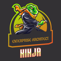 Enterprise Architect Ninja Retro Vintage Hoodie And Short Set | Artistshot