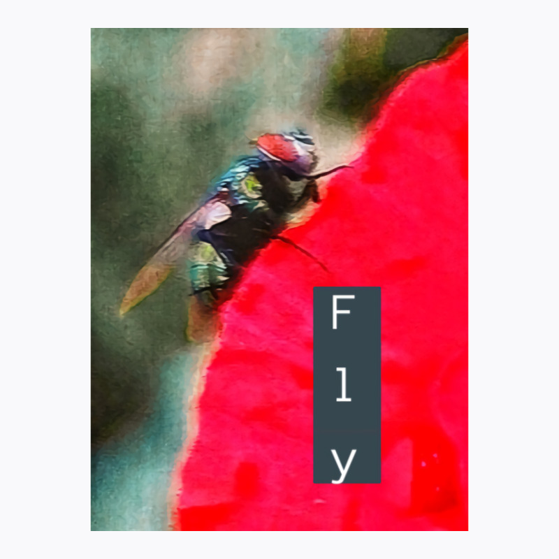 Fly Ii Vintage T-shirt | Artistshot