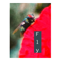 Fly Ii Vintage 3/4 Sleeve Shirt | Artistshot