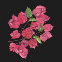 Bougainvillea On Black Classic T-shirt | Artistshot