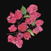 Bougainvillea On Black Crop Top | Artistshot