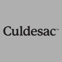 Culdesac High School Vectorized Ladies Fitted T-shirt | Artistshot