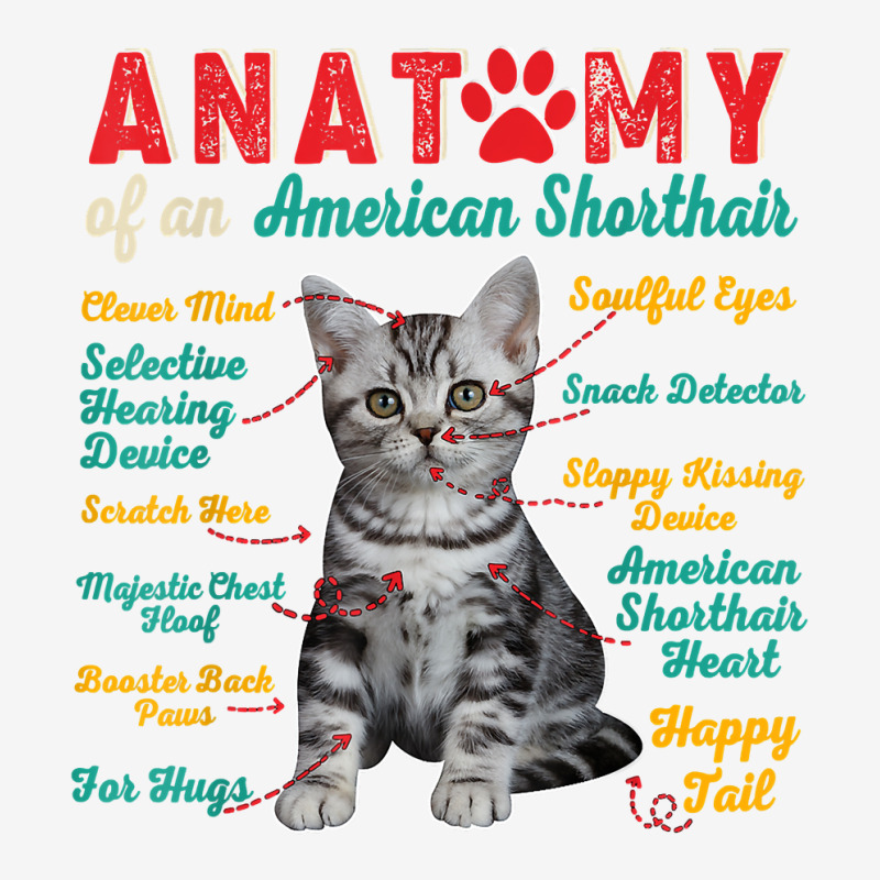 Anatomy Of An American Shorthair Clever Soulful Happy Tails T Shirt Adjustable Cap by thunmzien | Artistshot