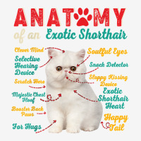 Anatomy Of An Exotic Shorthair Clever Soulful Happy Tails T Shirt Adjustable Cap | Artistshot