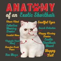 Anatomy Of An Exotic Shorthair Clever Soulful Happy Tails T Shirt Bucket Hat | Artistshot