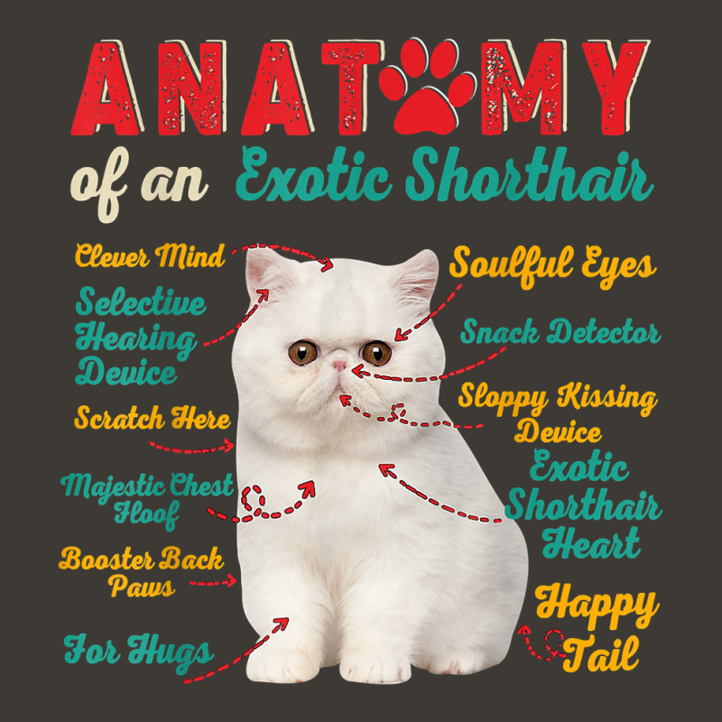 Anatomy Of An Exotic Shorthair Clever Soulful Happy Tails T Shirt Bucket Hat by thunmzien | Artistshot