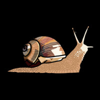 Snail Pocket T-shirt | Artistshot