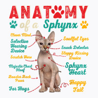 Vintage Anatomy Of A Sphynx Clever Soulful Happy Tails T Shirt T-shirt | Artistshot