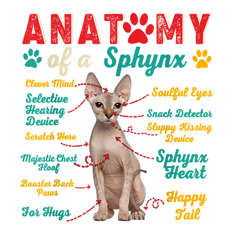 Vintage Anatomy Of A Sphynx Clever Soulful Happy Tails T Shirt V-neck Tee | Artistshot