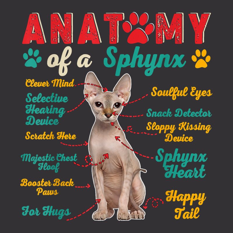 Vintage Anatomy Of A Sphynx Clever Soulful Happy Tails T Shirt Vintage Hoodie | Artistshot