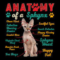 Vintage Anatomy Of A Sphynx Clever Soulful Happy Tails T Shirt Lightweight Hoodie | Artistshot