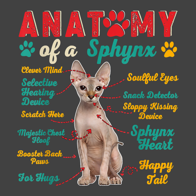 Vintage Anatomy Of A Sphynx Clever Soulful Happy Tails T Shirt Vintage T-shirt | Artistshot