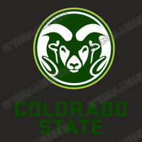 Colorado State Ladies Fitted T-shirt | Artistshot